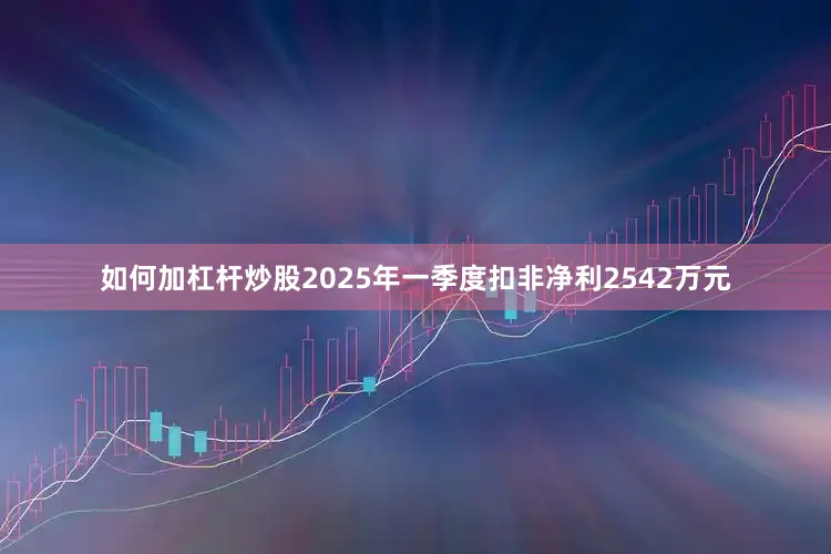 如何加杠桿炒股2025年一季度扣非凈利2542萬元